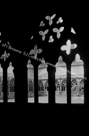 THROUGH THE CLOISTER ARCADE